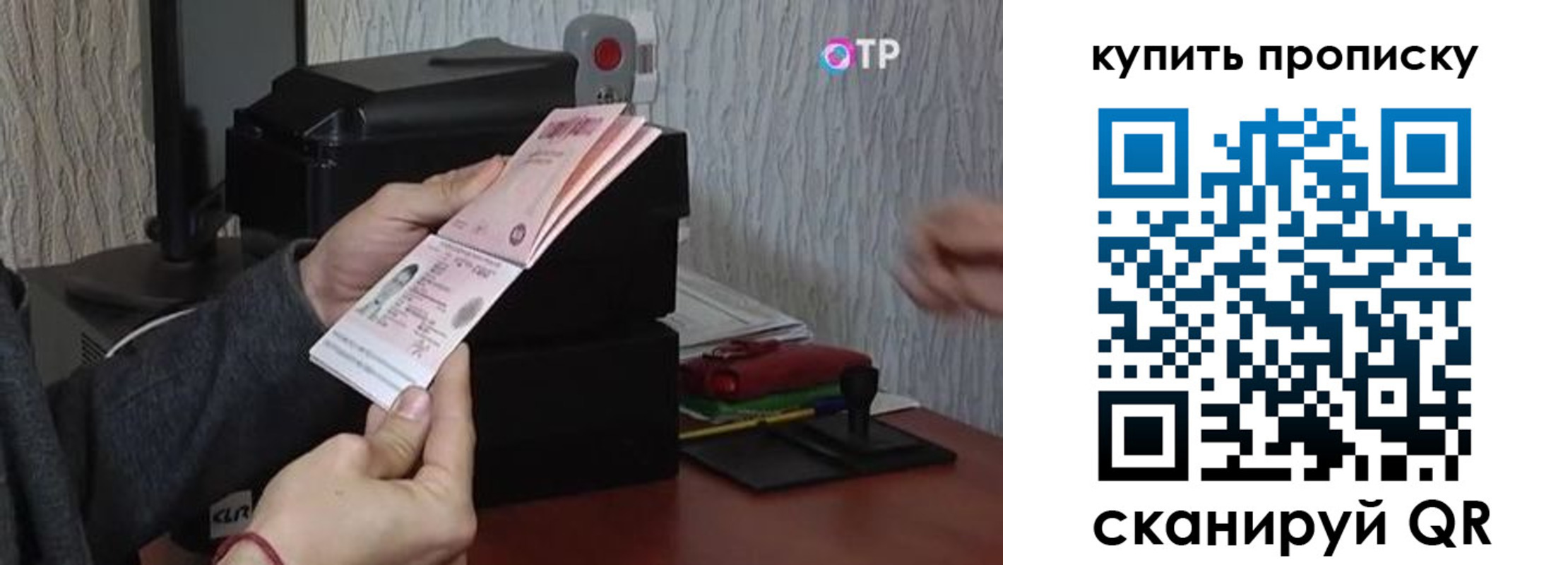 прописка гарантия в Сураже